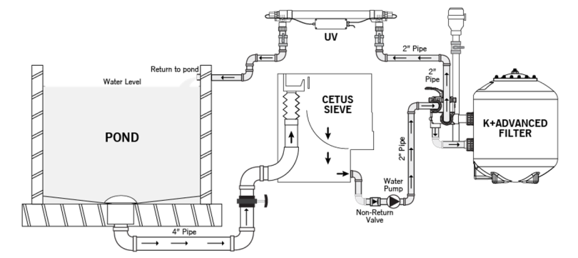 Cetus Sieve