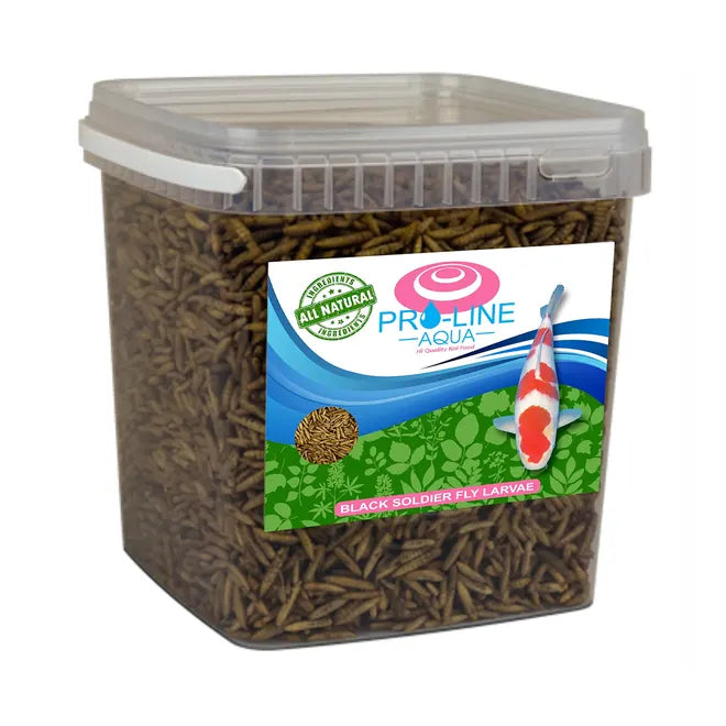 Pro Line Aqua Black Soldier fly Larvae