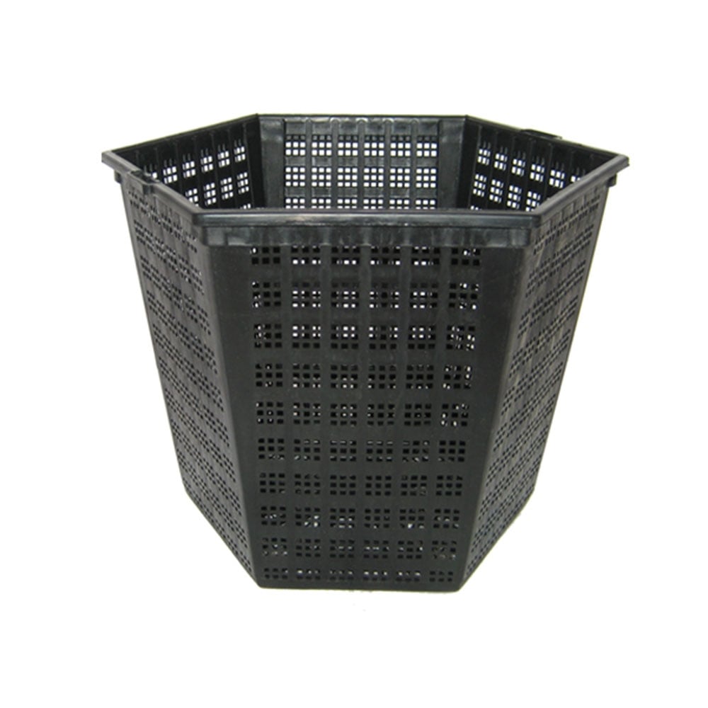 Plant Baskets