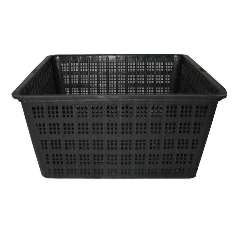 Plant Baskets