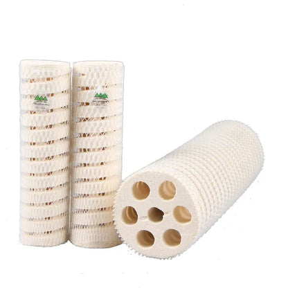 Mountain Tree Lotus Root Bacteria House II 8 cm Dia x 25 cm