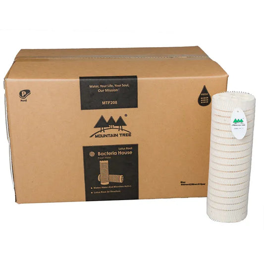 Mountain Tree Lotus Root Bacteria House II 8 cm Dia x 25 cm