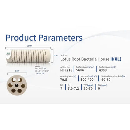 Mountain Tree Lotus Root Bacteria House II 8 cm Dia x 25 cm