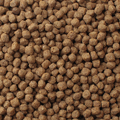 Mazuri Koi Platinum Nuggets 9.07kg
